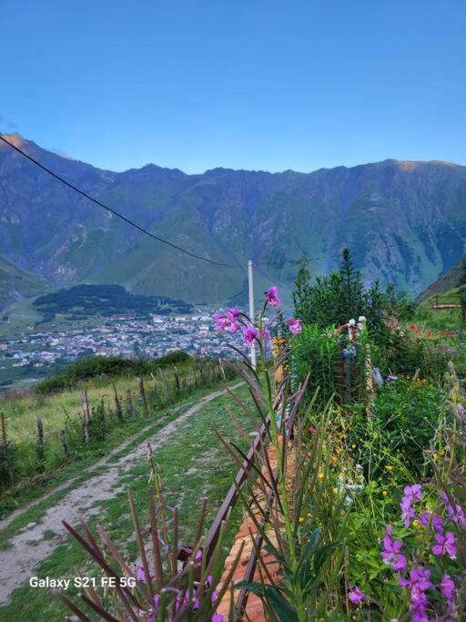 Peak House Villa Kazbegi Dış mekan fotoğraf